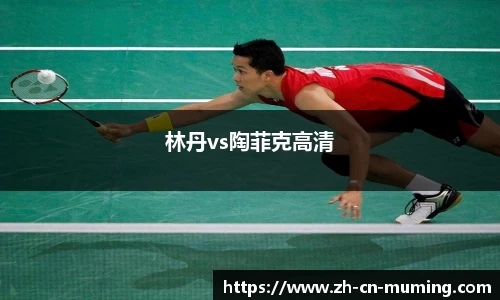 林丹vs陶菲克高清